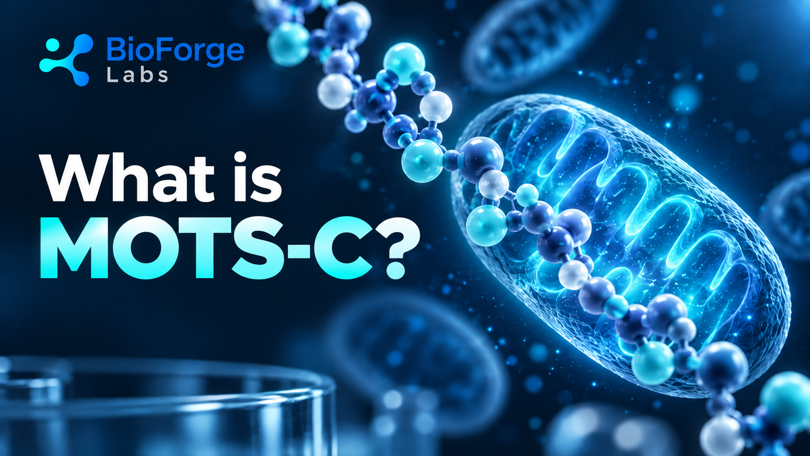 What is MOTS-C?